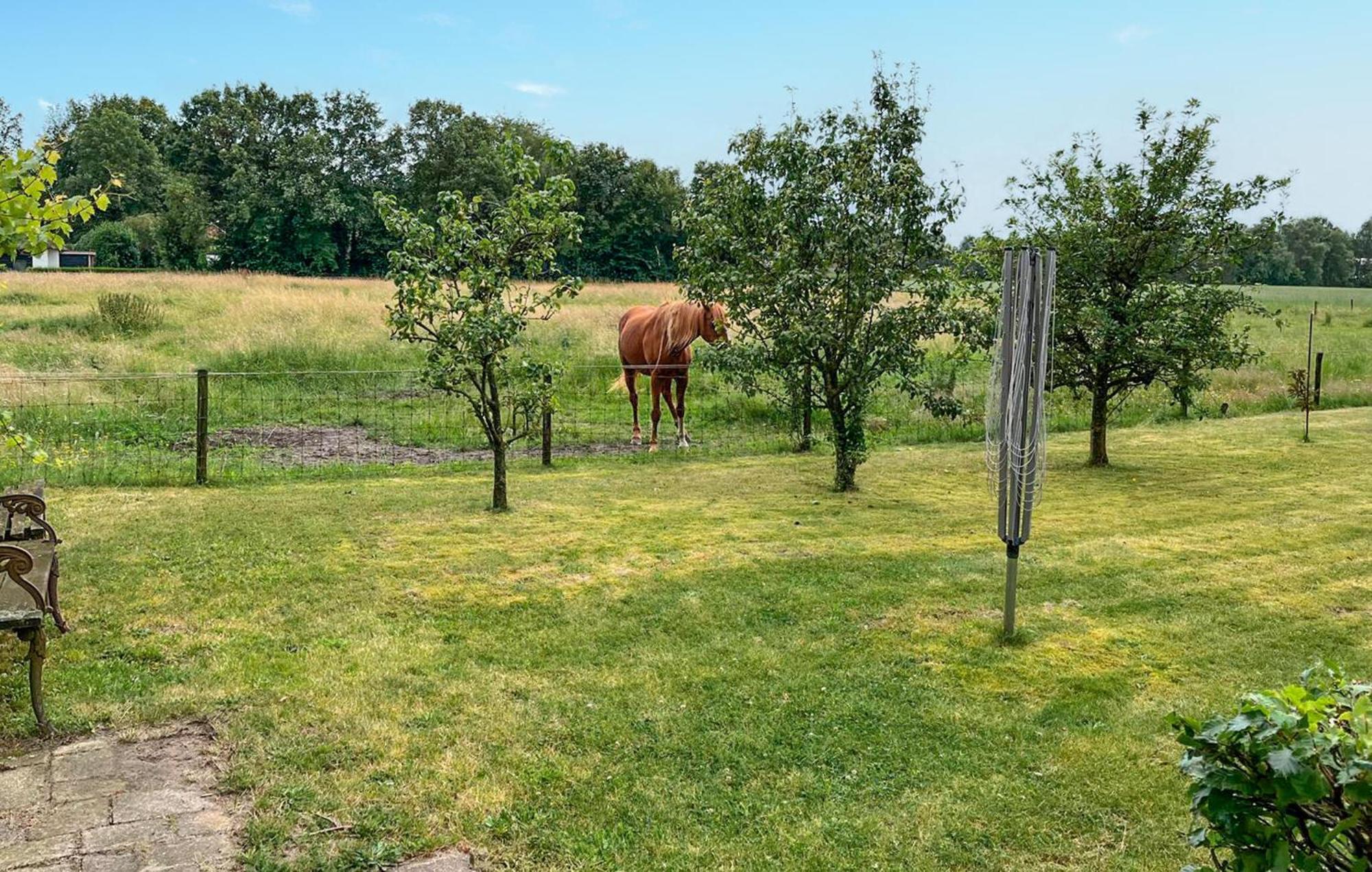 Dorsvloer Villa De Moer Bagian luar foto